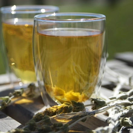 GREEK MOUNTAIN TEA IN ALZHEIMERS RESEARCH | Klio Tea
