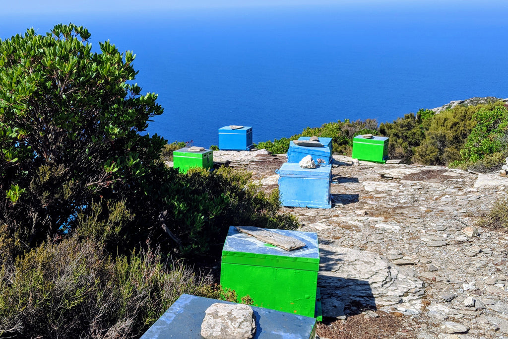 Klio Ikaria beehives by the sea