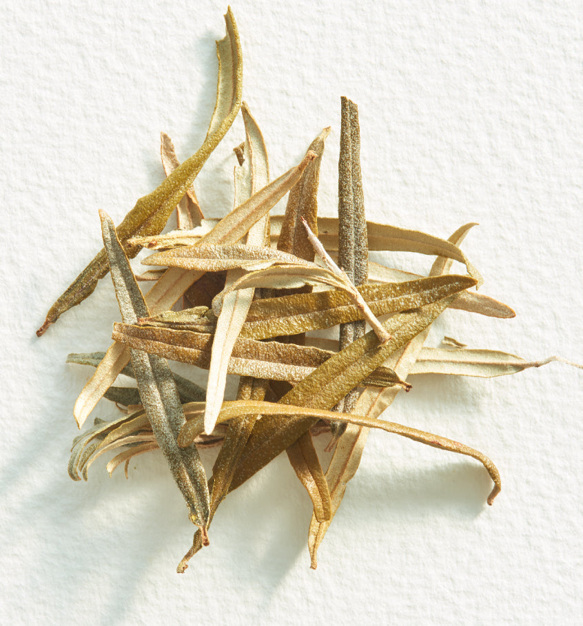 Greek Sea Buckthorn | Klio Tea